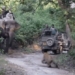 what is the culprit in the middle of the road attack with an ending that leaves everyone in stitches 117444