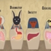 what is the secret behind the mummification process of ancient egyptians 117048