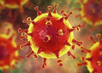who removes 3 variants of ncov from list of concerns 116102