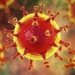who removes 3 variants of ncov from list of concerns 116102