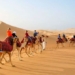why arab countries have many sandstorms but still import sand 116678