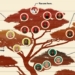 why are other animals diverse while modern humans are only one 115777