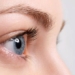 why do we have eyelashes 116095