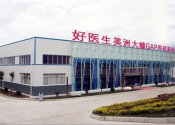why farm raised catfish is popular in china 117407