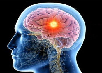 why is the energy consumption agency the highest in the body 117878