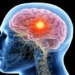 why is the energy consumption agency the highest in the body 117878