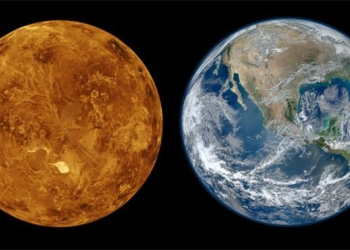 why life appears on earth why venus 65096