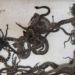 woman frightened when discovering snake under the house floor 116521