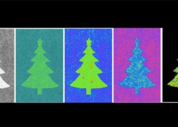 worlds most wanted christmas tree 117928