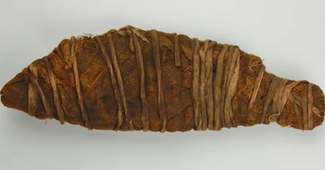 Mummy of an ancient Egyptian