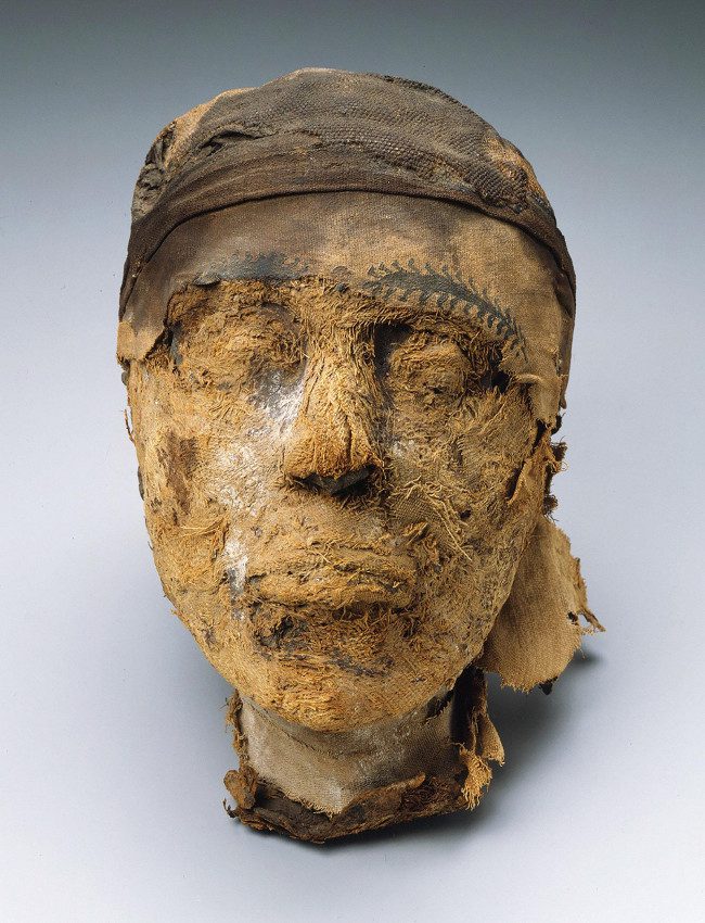 The head of the mummy displayed in a museum.