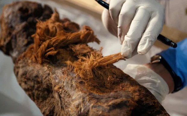 A scientist examines the Khuwy mummy.