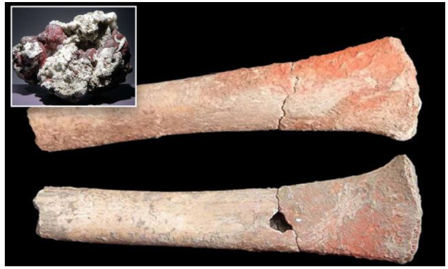 Evidence shows that prehistoric humans were exposed to mercury.