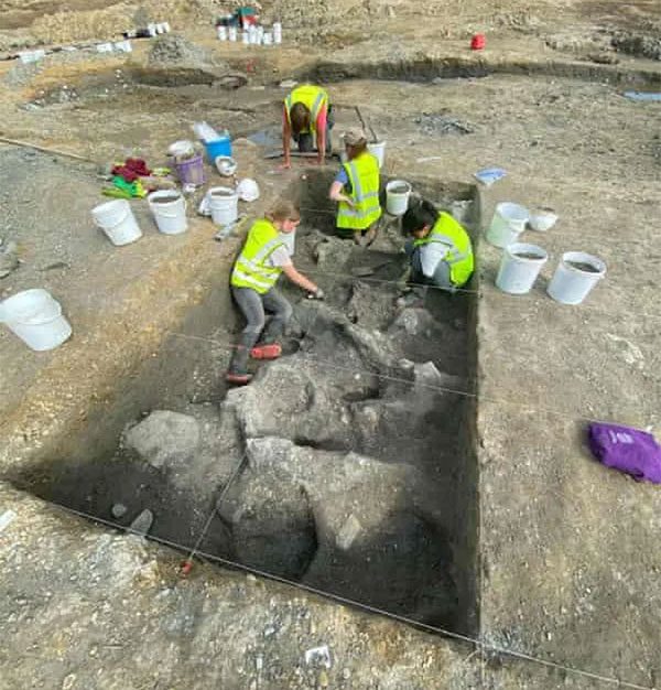 Archaeologists excavating mammoth bones.