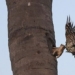 young man bird catches mistaken house of sister soc extremely and the ending 116862